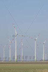 Brunsbuettel  Deutschland  Windkraftanlagen in Dithmarschen