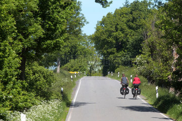 Schillsdorf  Deutschland  Radfahrer auf einer Landstrasse in Schillsdorf