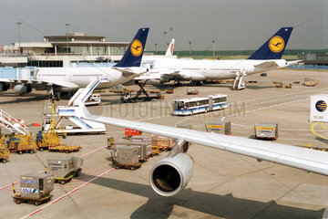 Flugzeuge der Lufthansa auf dem Flughafen Frankfurt/Main