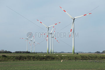 Risum-Lindholm  Deutschland  Windkraftanlage in Risum-Lindholm