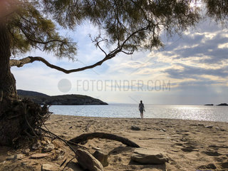 Strand Paralia Fellou  Insel Andros  Kykladen  Griechenland  Europa