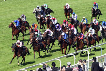 Royal Ascot  Field Of Dream with Adam Kirby up wins the Royal Hunt Cup