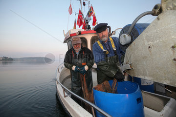 Flensburg  Deutschland  Nebenerwerbsfischer holen am fruehen Morgen in der Flensburger Foerde die Netzte ein