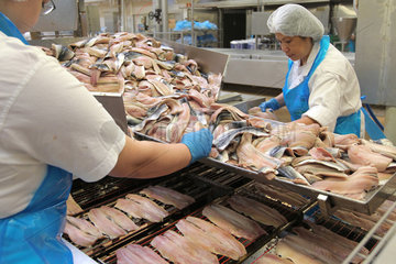 Harrislee  Deutschland  Mitarbeiter in der Fischfabrik von Larsen Danish Seafood GmbH