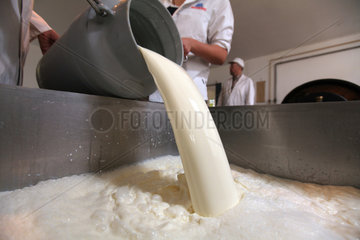 Molfsee  Deutschland  Kaeseherstellung: die Rohmilch wird in eine Wanne gefuellt