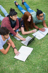 Group of college students lying on grass studying
