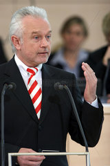 Wolfgang Kubicki  FDP  im Kieler Landtag