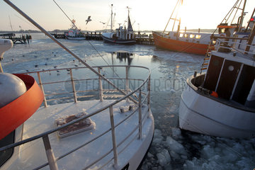 Maasholm  Deutschland  eingefrorene Fischerboote im Hafen von Maasholm