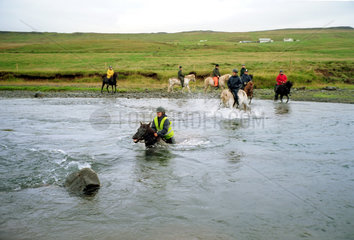Varmahlid  Flussueberquerung mit Island-Pferden