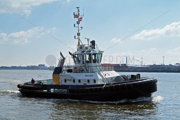 Hamburg  Deutschland  Schlepper Peter im Hamburger Hafen