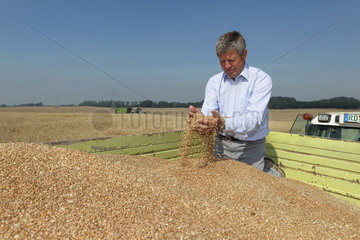 Hassmoor  Schleswig-Holstein  Landwirt Wilhelm Rupprecht vom Gut Hoebek mit der Weizenernte