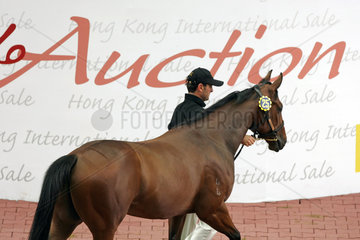 Hong Kong  Pferdeauktion