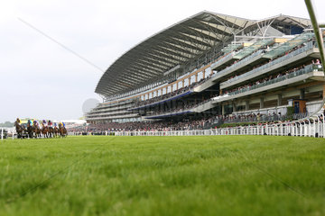 Royal Ascot  View at the grandstand during the Gold Cup