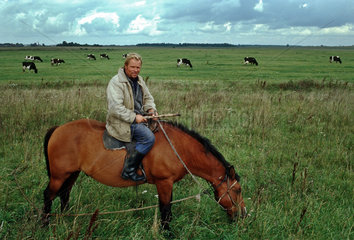 Kuhhirte auf seinem Pferd  Russland (Kaliningrad)