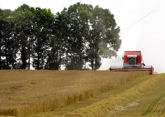 Chemnitz  Deutschland  Getreideernte im Erzgebirge