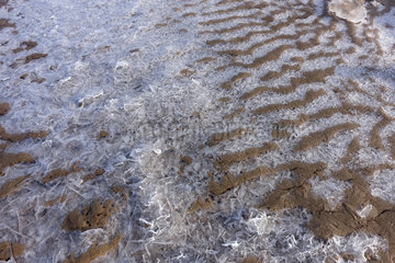 Ahlbeck  Deutschland  gefrorenes Wasser am Strand