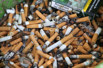 Neustadt (Dosse)  Deutschland  Zigarettenstummel und leere Zigarettenschachtel