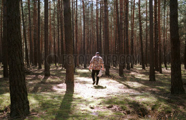 Paetz  Deutschland  Pilzsucher in einem Wald im Landschaftsschutzgebiet