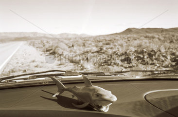 Death Valley aus dem Autofenster  Kalifornien