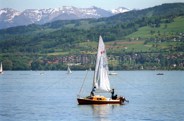 Segelboot auf dem Bodensee bei Arbon  Schweiz
