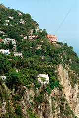 Capri  am Felshang stehen exklusive Villen