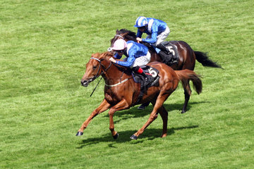 Royal Ascot  Mustajeeb with Pat Smullen up wins the Jersey Stakes