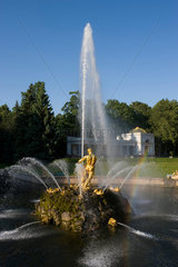 Sankt Petersburg  Russland  Springbrunnen im Sommerhof des Peterhofes