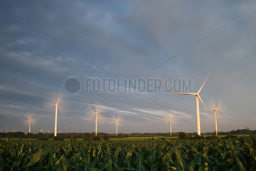 Breklum  Deutschland  Windkraftanlagen hinter einem Maisfeld