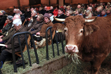 Schierensee  Deutschland  Adventsgottesdienst im Rinderstall auf Gut Schierensee