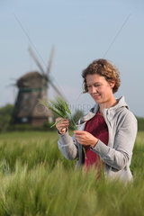 Wangels  Deutschland  Frau betrachtet Wintergerste auf einem Getreidefeld