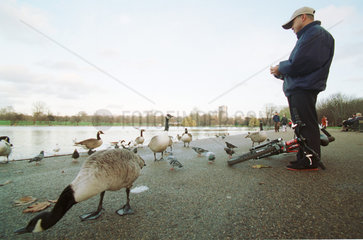 Mann fuettert Enten an einem Teich  London