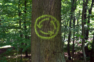 Hilkerode  Baumstamm mit Symbol