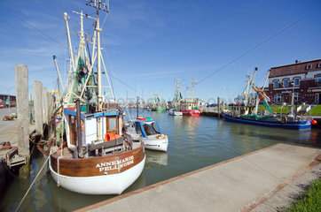 Tammensiel  Deutschland  Fischkutter im Hafen Tammensiel auf der Insel Pellworm