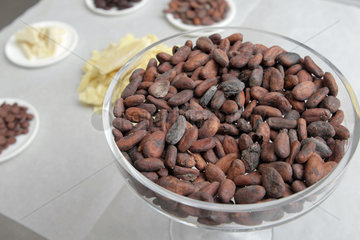 Handewitt  Deutschland  geroestete Kakaobohnen in einer Schokoladenmanufaktur