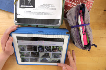 Deutschland  Schueler recherchieren mit einem iPad im Biologieunterricht