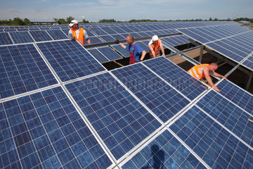 Oeversee  Deutschland  ein Solarpark wird aufgebaut