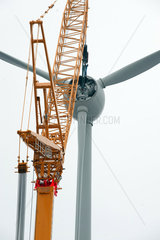 Kaiser-Wilhelm-Koog  Deutschland  Repowering von Windkraftanlagen