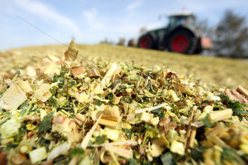Hamm  Deutschland  Traktor verdichtet die Maissilage