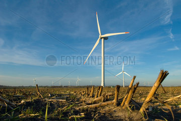 Schwesing  Deutschland  der Windpark mit Anlagen des Typs REpower MM82
