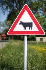 Huje  Deutschland  Schild Vorsicht Rinder am Strassenrand