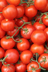 Handewitt  Deutschland  Tomaten in einer Auslage