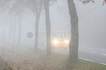 Blankenfelde  Deutschland  Autoverkehr auf einer Landstrasse bei Nebel