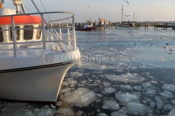 Maasholm  Deutschland  eingefrorene Fischerboote im Hafen von Maasholm