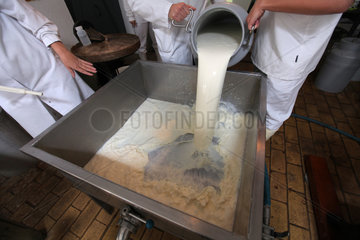 Molfsee  Deutschland  Kaeseherstellung: die Rohmilch wird in eine Wanne gefuellt