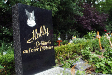 Berlin  Hundegrab auf einem Haustierfriedhof