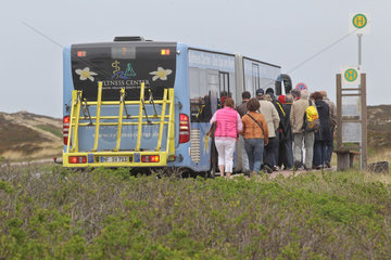 Rantum  Deutschland  Linienbus auf der Strecke von Hoernum nach Westerland auf Sylt