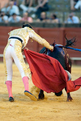Sevilla  Spanien  der spanische Stierkaempfer Cesar Giron in der Arena