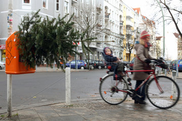 Berlin  Tannenbaum steckt in einem Abfalleimer der BSR