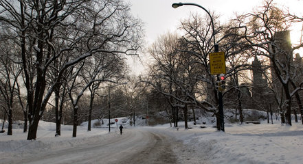 Verschneiter Central Park am spaeten Nachmittag