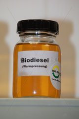 Magdeburg  Deutschland  Glas mit Biodiesel (Warmpressung)